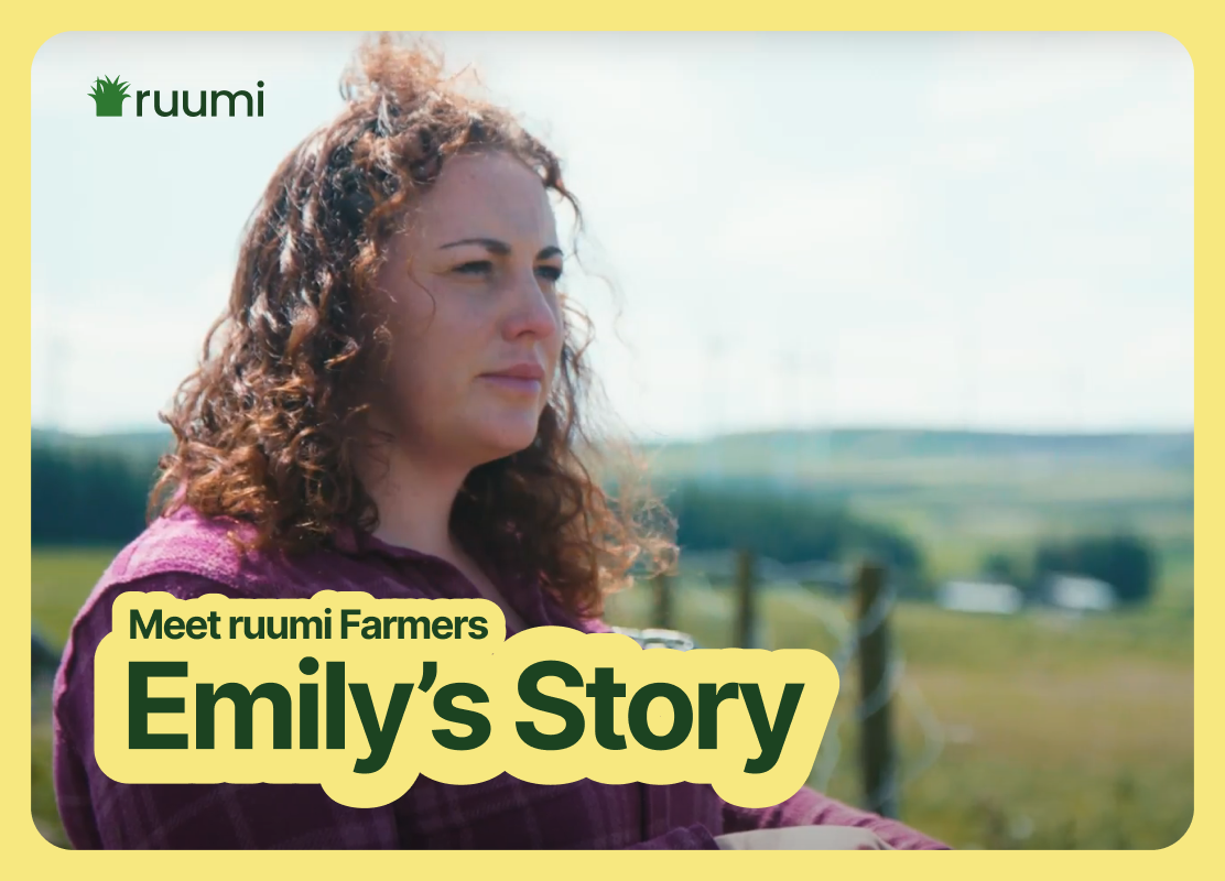 Emily's Farm Story